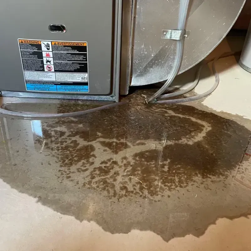 Appliance Leak Cleanup in Marshall County, KS